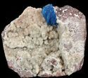 Blue Cavansite Crystals on Druzy Heulandite - India #43835-1
